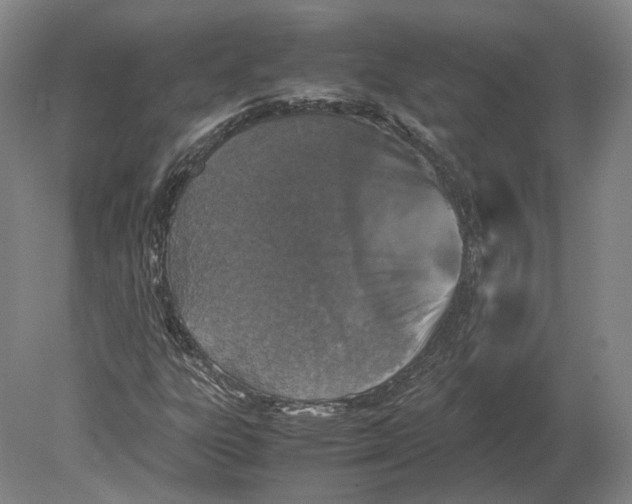 X0000078841303200612041829