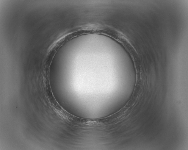 X0000078841304200612041829