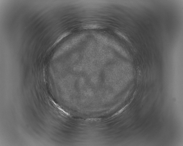 X0000078841305200612041829