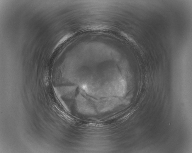 X0000078841306200612041829