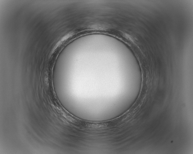 X0000078841307200612041829