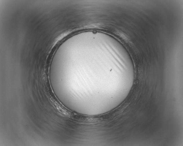 X0000078841308200612041829