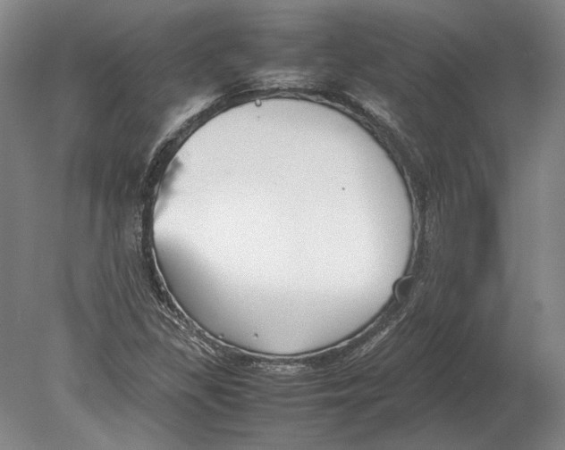 X0000078841309200612041829