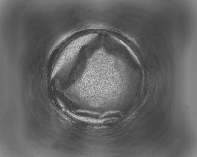 X0000078841311200612041829