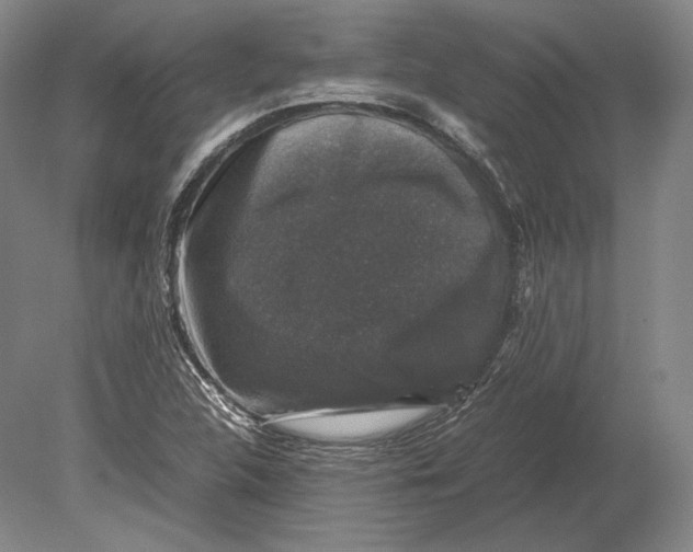 X0000078841312200612041829