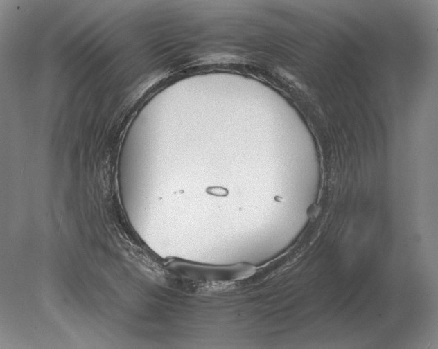 X0000078841313200612041829