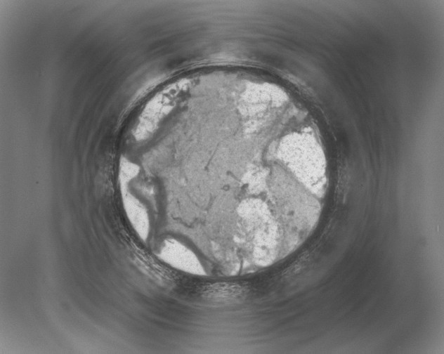 X0000078841314200612041829