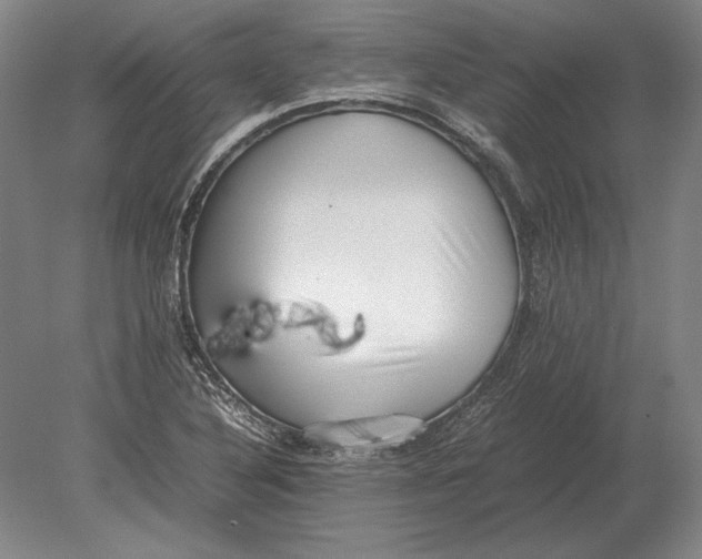 X0000078841316200612041829