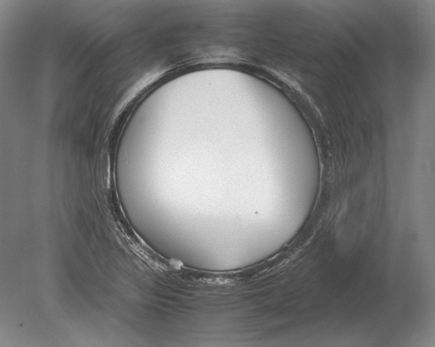 X0000078841317200612041829