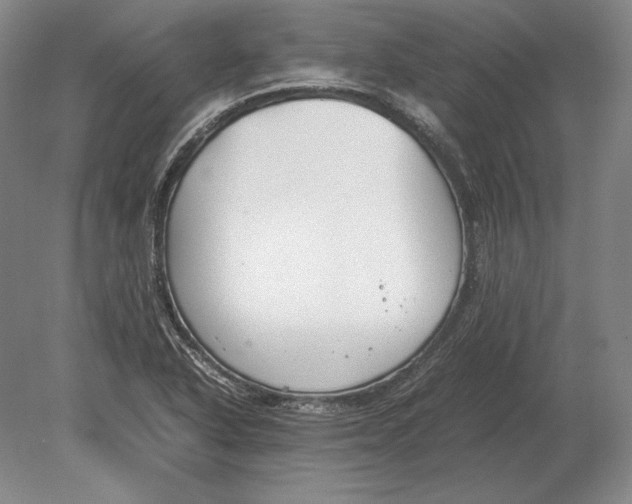 X0000078841318200612041829