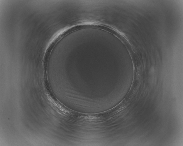 X0000078841319200612041829