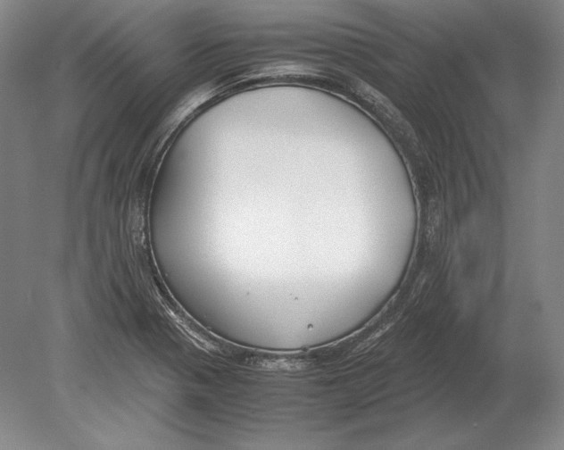 X0000078841321200612041829