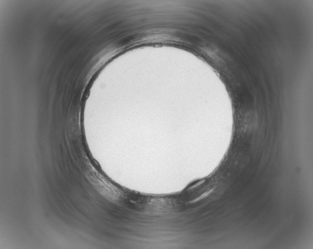 X0000078841322200612041829