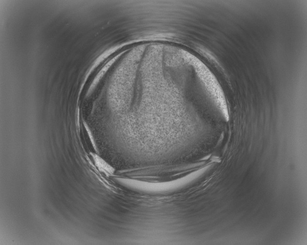 X0000078841324200612041829