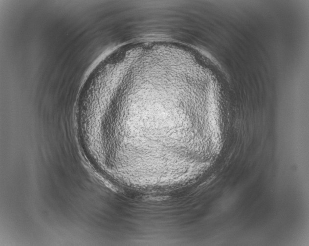 X0000078841325200612041829