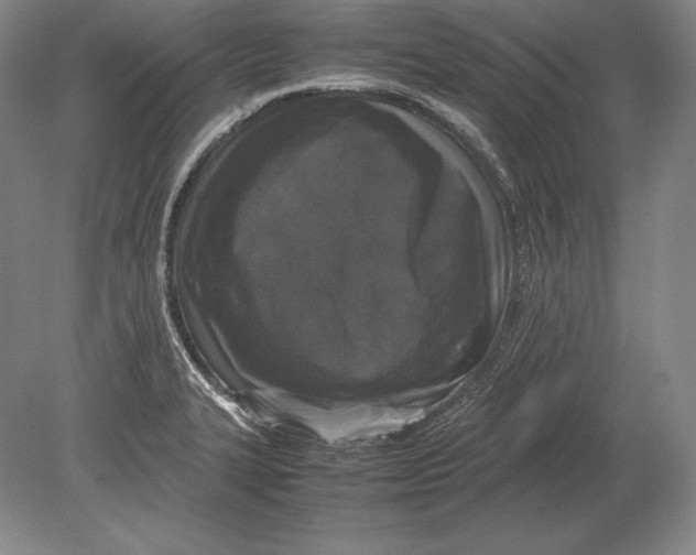 X0000078841327200612041829