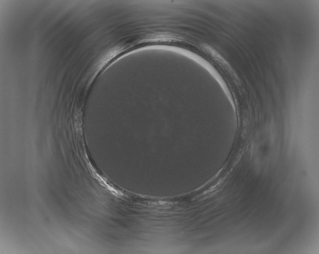 X0000078841329200612041829