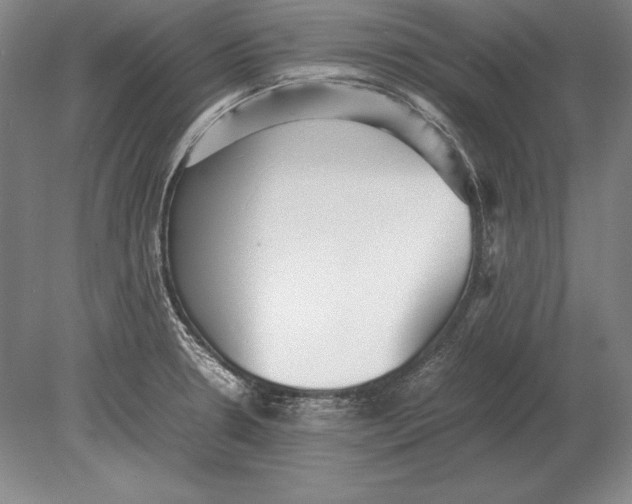 X0000078841330200612041829