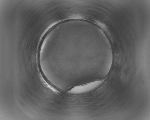 X0000078841331200612041829