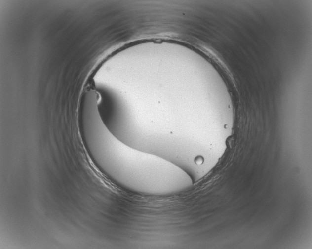 X0000078841332200612041829