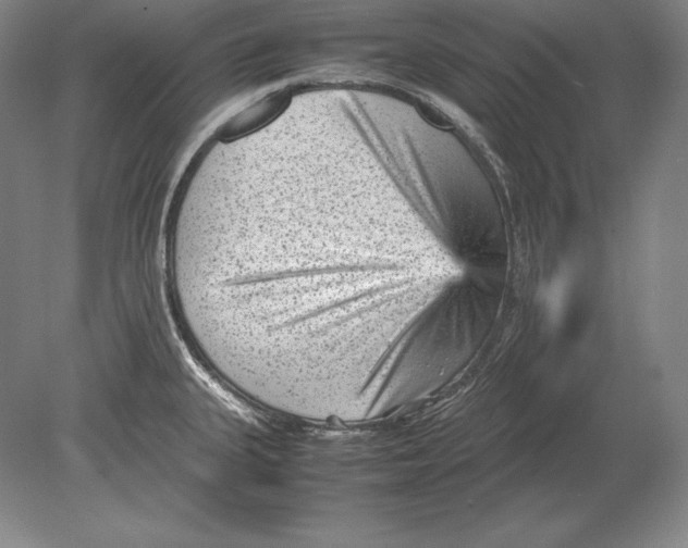 X0000078841335200612041829