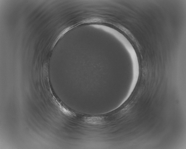 X0000078841337200612041829