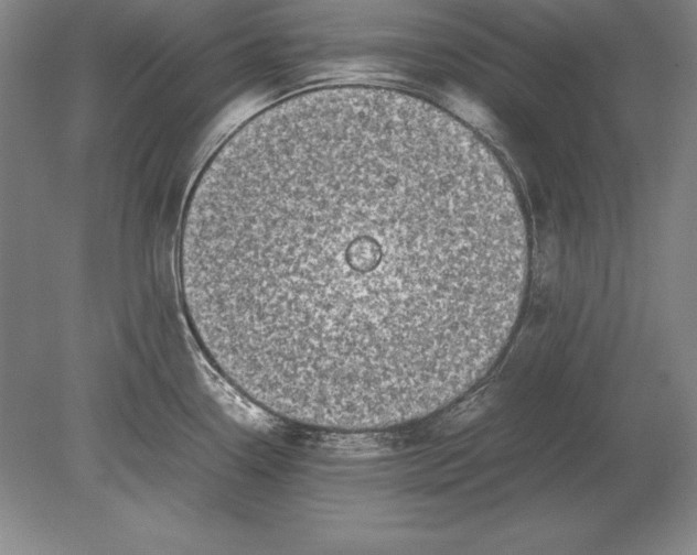 X0000078841338200612041829