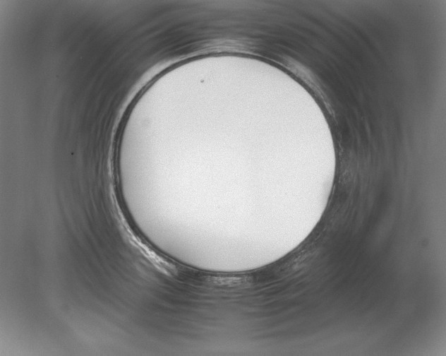 X0000078841339200612041829