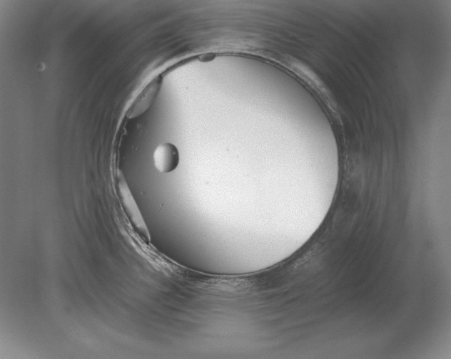 X0000078841340200612041829