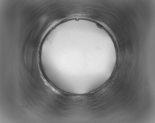 X0000078841341200612041829