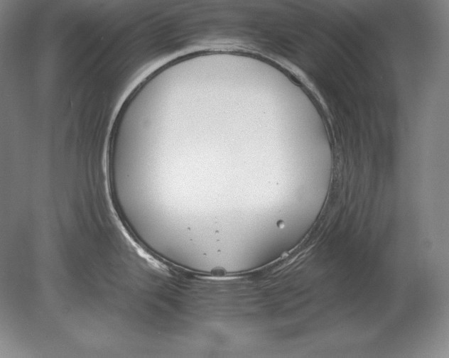 X0000078841343200612041829