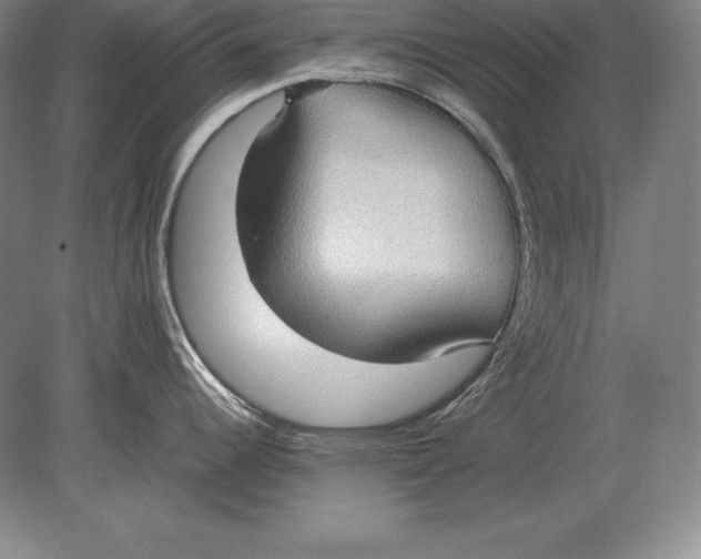 X0000078841344200612041829