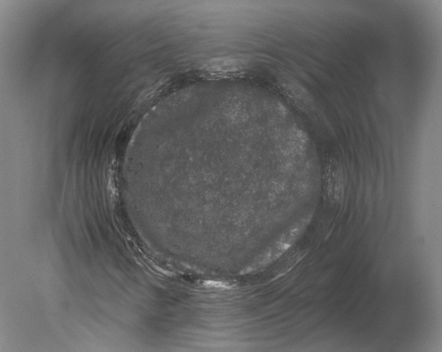 X0000078841346200612041829