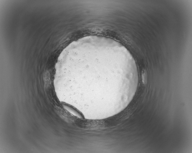 X0000078841347200612041829