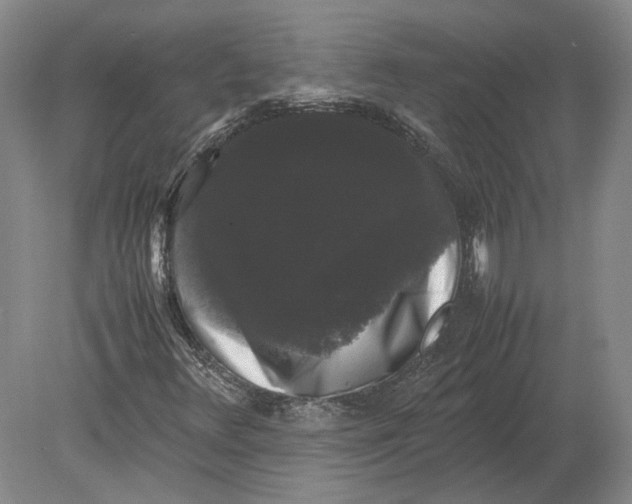 X0000078841348200612041829