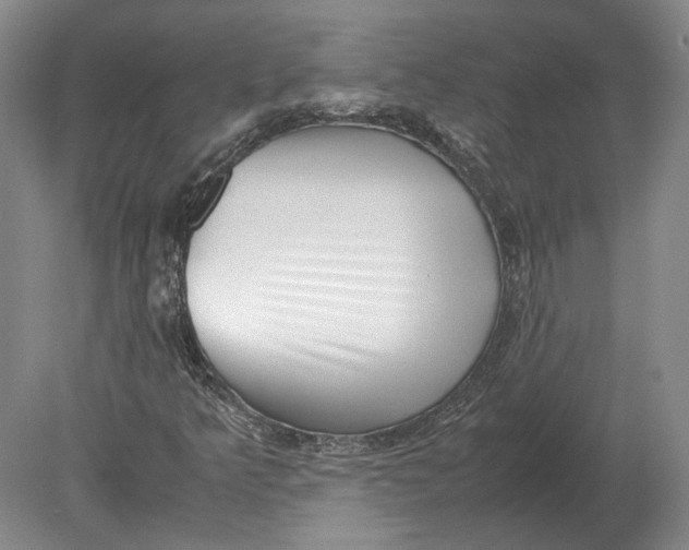 X0000078841349200612041829