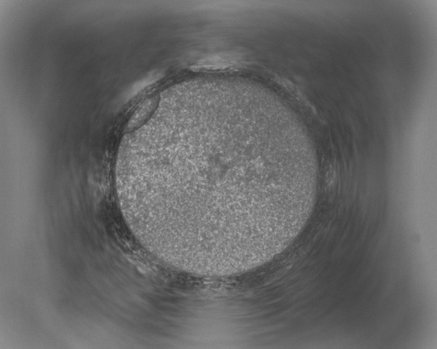 X0000078841350200612041829