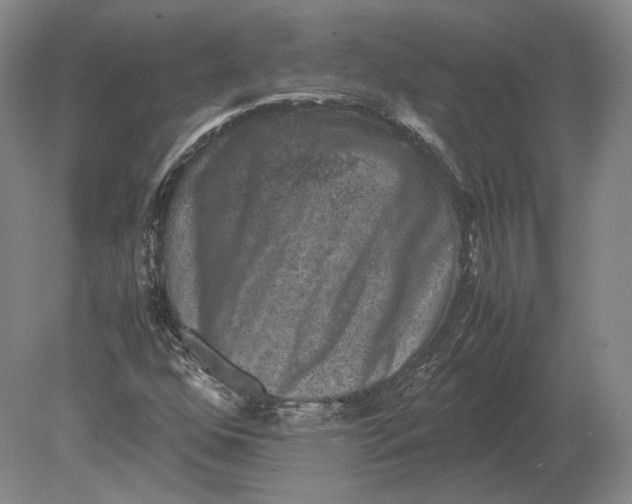 X0000078841352200612041828