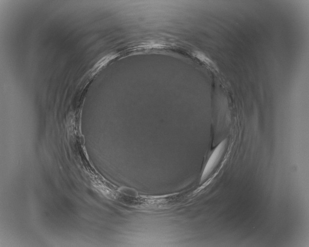 X0000078841353200612041828