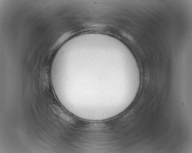 X0000078841354200612041828