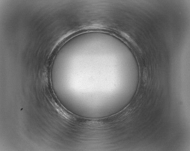 X0000078841356200612041828