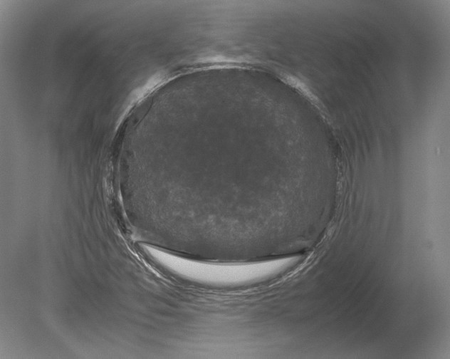 X0000078841357200612041828