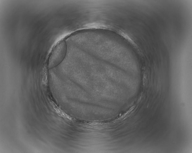 X0000078841358200612041828