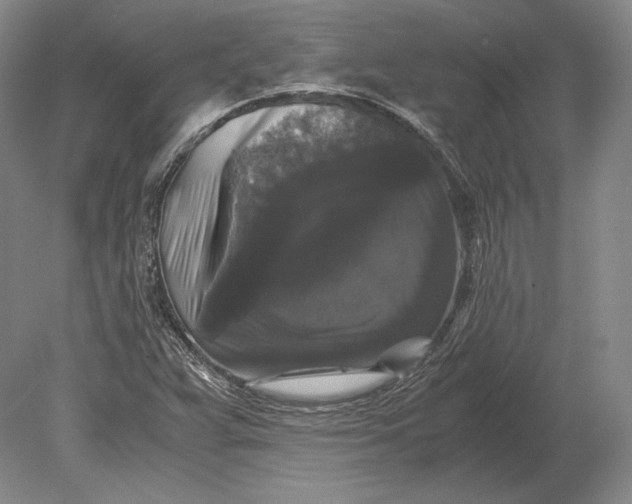 X0000078841359200612041828