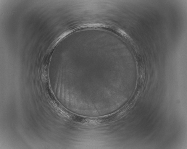 X0000078841361200612041828