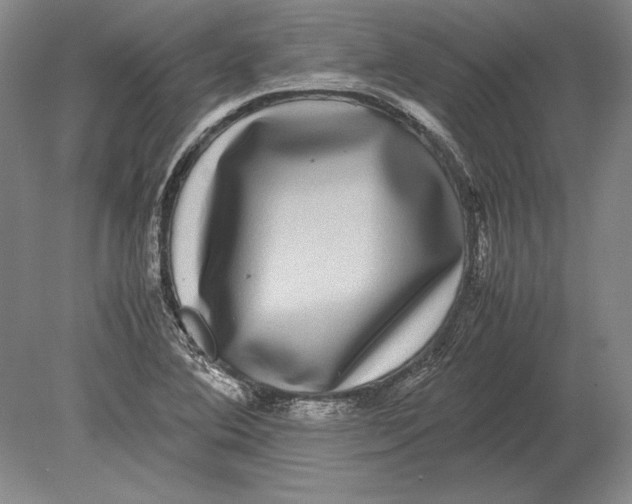 X0000078841364200612041828