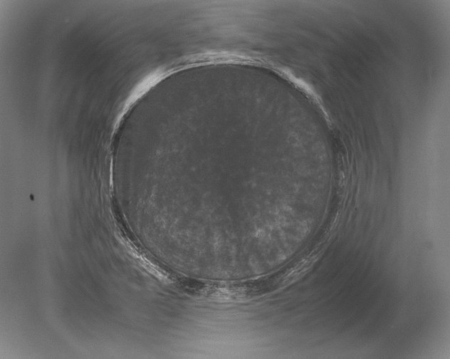 X0000078841365200612041828