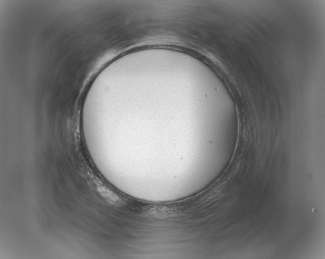 X0000078841366200612041828