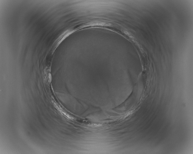 X0000078841369200612041828