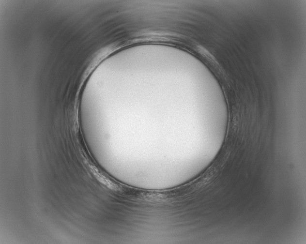 X0000078841370200612041828